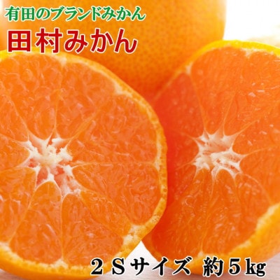 【ブランドみかん】田村みかん約5kg(2Sサイズ・秀品)(新宮市)