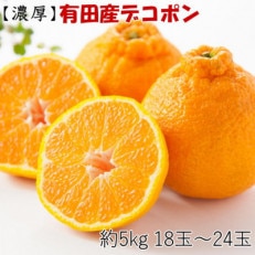 【お味濃厚】紀州有田産のデコポン約5kg(18玉～24玉入り)(新宮市)