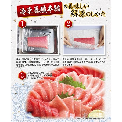 プレミア和歌山認証品 和歌山県串本産 本マグロ(養殖)トロ&赤身セット 500g(冷凍)