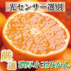 厳選　小玉な有田みかん8.3kg+249g(傷み補償分)【光センサー選果】