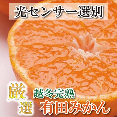 厳選 越冬完熟みかん3.5kg+105g(傷み補償分)【ハウスみかん】【光センサー選果】