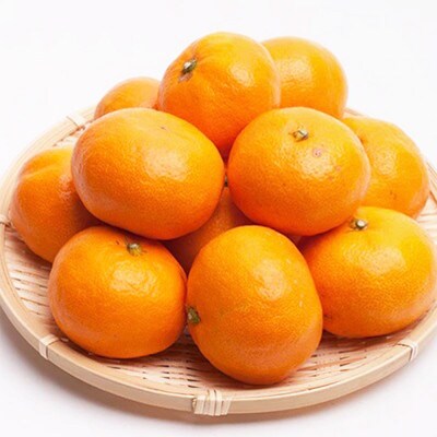 厳選 越冬完熟みかん3.5kg+105g(傷み補償分)【ハウスみかん】【光センサー選果】