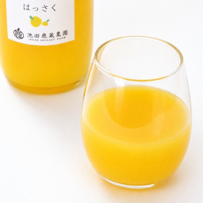 無添加はっさくジュース720ml×3本【100%ジュース・ストレートジュース】【柑橘・果汁】