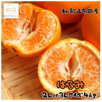 ≪先行予約 2027年1月下旬～発送≫和歌山有田の濃厚はるみ 約4kg (2L又は3Lサイズ)