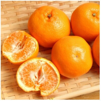 ≪先行予約 2027年1月下旬～発送≫和歌山有田の濃厚はるみ 約4kg (2L又は3Lサイズ)