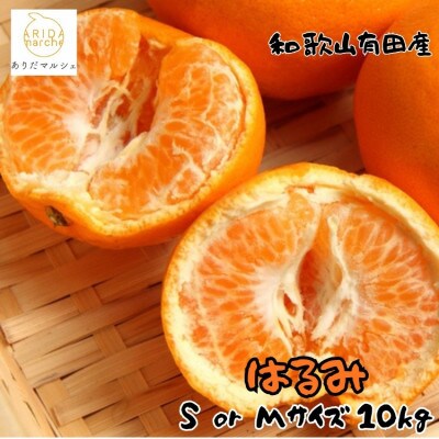 ≪先行予約・2027年1月下旬～発送≫和歌山有田の濃厚はるみ 約10kg (M又はSサイズ)