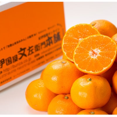 [2025年11月上旬～]ブランド有田みかん【S】秀品10kg/薄皮で甘い美味しいみかん/産地直送