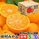 [2025年11月下旬～]田村みかん 特選ギフト品10kg【Sサイズ】赤秀/湯浅町田村地区産