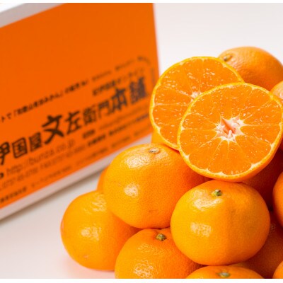 [2025年11月下旬～]田村みかん【秀品5kg】サイズおまかせ/湯浅町田村地区産
