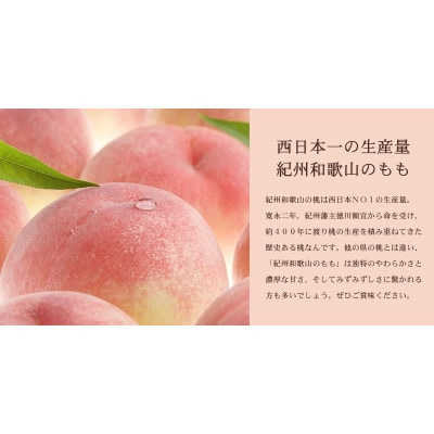和歌山の桃 秀品 約3.8～4kg (サイズ・品種おまかせ) フルーツ 産地直送