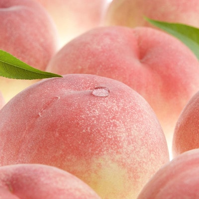 和歌山の桃 秀品 約3.8～4kg (サイズ・品種おまかせ) フルーツ 産地直送