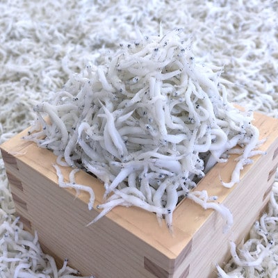 釜揚げしらす 化粧箱入り900g