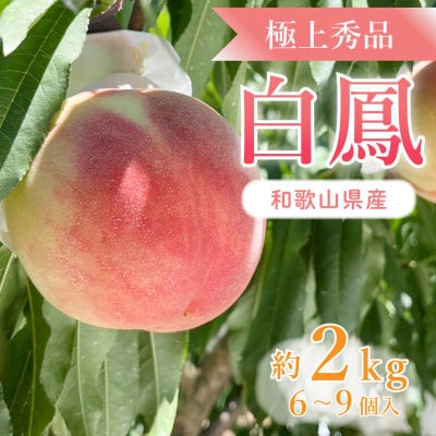 先行受付!　桃の王様【白鳳】　特秀品　約2kg　6～9個入　こだわり農家厳選!