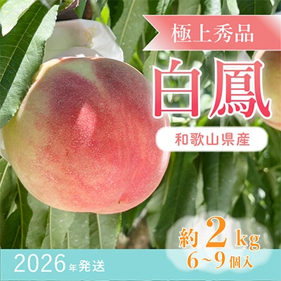 先行受付!　桃の王様【白鳳】　特秀品　約2kg　6～9個入　こだわり農家厳選!