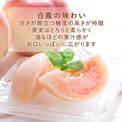 先行受付!　桃の王様【白鳳】　特秀品　約2kg　6～9個入　こだわり農家厳選!