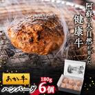 【白水乃蔵】あか牛 ハンバーグ6個(180g×6)
