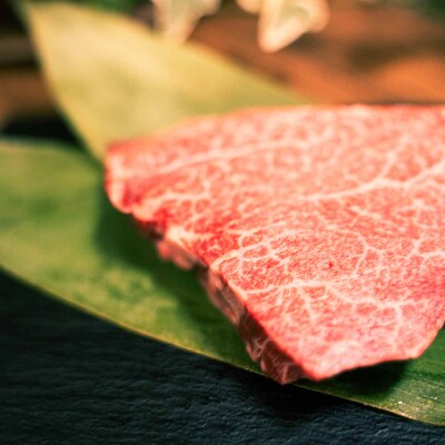熊本県産 くまもと黒毛和牛(和王) ヒレステーキ 600g(南阿蘇村)