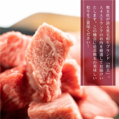熊本県産 くまもと黒毛和牛(和王) 一口ステーキ 500g(南阿蘇村)