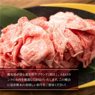 くまもと黒毛和牛 和王切り落し900g(南阿蘇村)