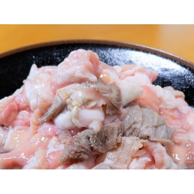 あか牛もつ鍋セット《あか牛ミックスホルモン500g、もつ鍋スープ500g×2》(南阿蘇村)