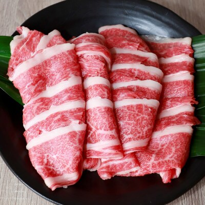 あか牛バラ切り落としセット(あか牛バラスライス500g あか牛のたれ200ml付き)(南阿蘇村)