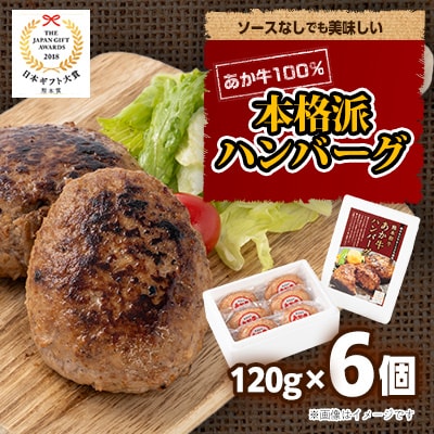 あか牛100%ハンバーグセット(あか牛ハンバーグ120g×6個)(南阿蘇村)