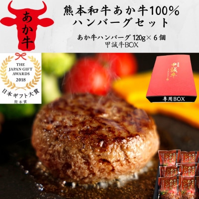 あか牛100%ハンバーグセット(あか牛ハンバーグ120g×6個)専用ボックス入り(南阿蘇村)