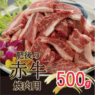 肥後の赤牛　焼肉用　500g(熊本県産和牛)【南阿蘇】