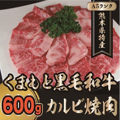 A5ランク　くまもと黒毛和牛　カルビ焼肉用600g(南阿蘇村)