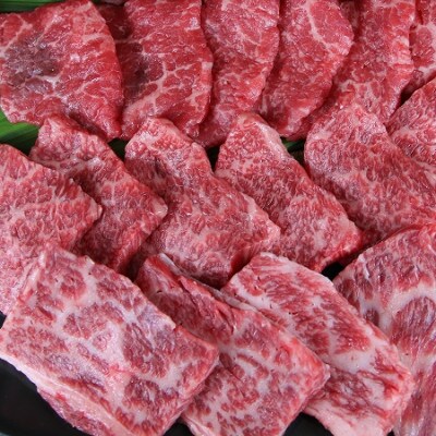 【GI認証】くまもとあか牛 特選焼肉用　500g(南阿蘇食品)