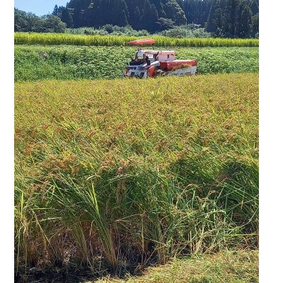 令和3年南阿蘇産　いのちの壱(白米)10kg　雑穀米付き