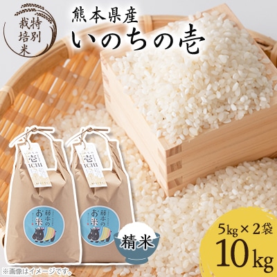 熊本県南阿蘇村産 令和6年産 特別栽培米 いのちの壱(白米)5kg×2【虹色のかば】