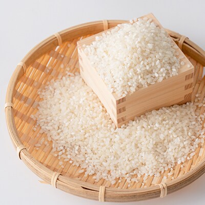 熊本県南阿蘇村産 令和6年産 特別栽培米 いのちの壱(白米)5kg×2【虹色のかば】