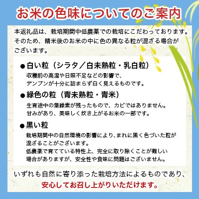 熊本県南阿蘇村産 令和7年産 特別栽培米 いのちの壱(玄米) 10kg×1袋【虹色のかば】