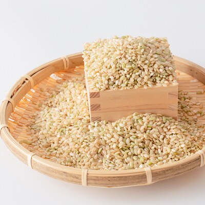 熊本県南阿蘇村産 令和6年産 特別栽培米 いのちの壱(玄米)5kg×2【虹色のかば】
