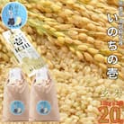 熊本県南阿蘇村産 令和7年産 特別栽培米 いのちの壱(玄米) 10kg×2袋【虹色のかば】