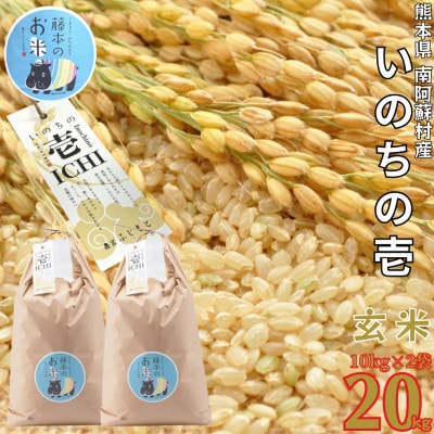 熊本県南阿蘇村産 令和6年産 特別栽培米 いのちの壱(玄米)10kg×2【虹色のかば】