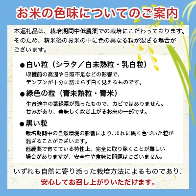 熊本県南阿蘇村産 令和7年産 特別栽培米 いのちの壱(玄米) 10kg×2袋【虹色のかば】