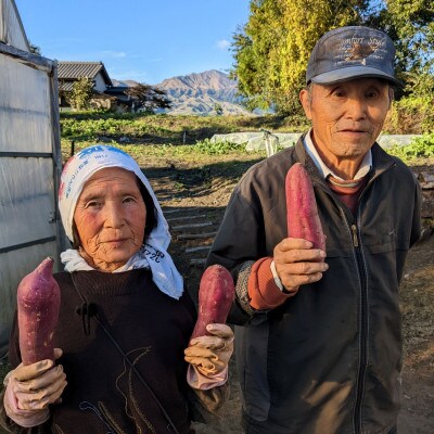 訳あり 熟成紅はるか 約5キロ 蜜芋(南阿蘇村)