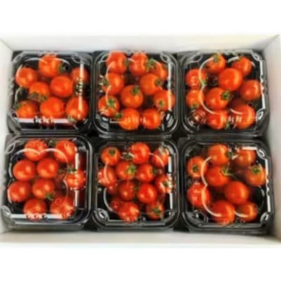 ミニトマト　6パック(200g×6)