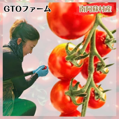 ミニトマト　6パック(200g×6)