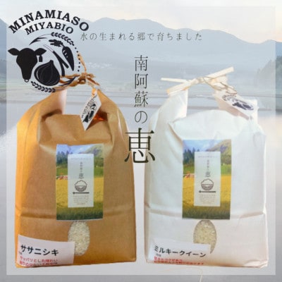 水の生まれる「南阿蘇村」大地の恵み米(ササニシキ・ミルキークイーン各2kg/計4kg)