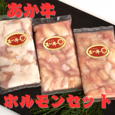 熊本県産　あか牛 牛小腸　ホルモンセット　600g(200g×3パック)(南阿蘇村)