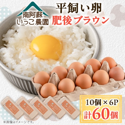 【南阿蘇産】【朝採り】平飼い鶏の卵　60個(肥後ブラウン10個入り6パック)
