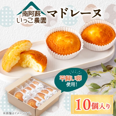 【南阿蘇産】【平飼いの卵100%使用】いっこ農園のマドレーヌ(10個入り)