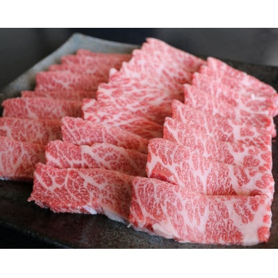 厳選されたGI認証　くまもとあか牛　特選焼肉用　500g(南阿蘇村)