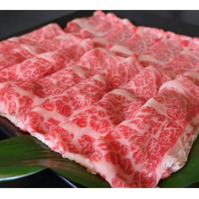 厳選されたGI認証　くまもとあか牛　特選すき焼き用　500g(南阿蘇村)