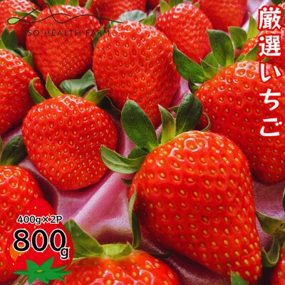 阿蘇健康農園の「厳選」いちご800g