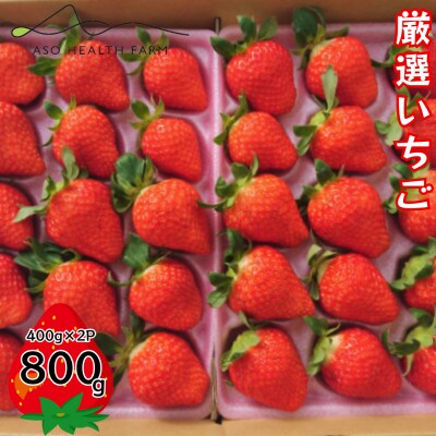 阿蘇健康農園の「厳選」いちご800g