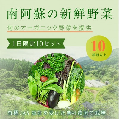 「南阿蘇オーガニック」旬の野菜セット約10種類詰め合わせ